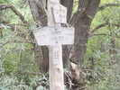 photo thumbnail #14