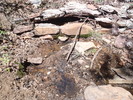 photo thumbnail #10