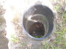 photo thumbnail #3