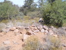 photo thumbnail #8