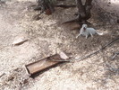 photo thumbnail #9