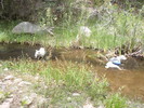 photo thumbnail #10