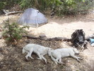 photo thumbnail #11