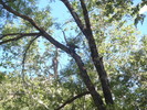 photo thumbnail #13