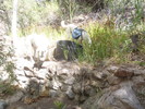 photo thumbnail #5