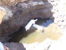 photo thumbnail #9