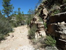 photo thumbnail #12