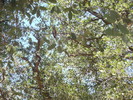photo thumbnail #15