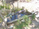 photo thumbnail #6