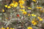 photo thumbnail #11