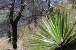 photo thumbnail #13