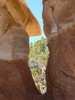 photo thumbnail #15