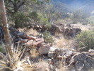 photo thumbnail #11