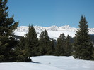 photo thumbnail #9