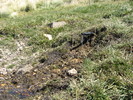photo thumbnail #14