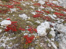 photo thumbnail #14