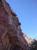 photo thumbnail #13