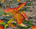 photo thumbnail #9