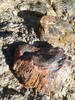 photo thumbnail #15