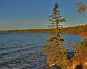 photo thumbnail #13