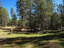 photo thumbnail #4