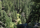 photo thumbnail #8