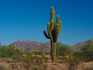 photo thumbnail #2