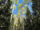 photo thumbnail #9