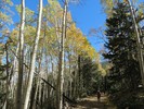 photo thumbnail #14
