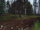 photo thumbnail #12