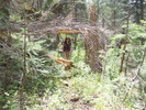 photo thumbnail #7