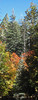 photo thumbnail #11