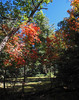 photo thumbnail #12
