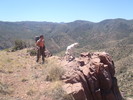 photo thumbnail #2
