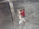 photo thumbnail #13