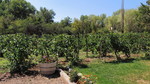 photo thumbnail #12