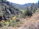 photo thumbnail #5