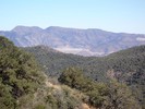photo thumbnail #8