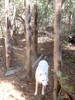photo thumbnail #15