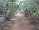 photo thumbnail #1