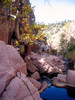 photo thumbnail #3