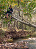 photo thumbnail #8