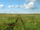 photo thumbnail #4