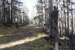 photo thumbnail #6