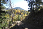photo thumbnail #10