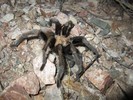 photo thumbnail #8