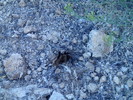 photo thumbnail #10