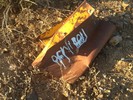 photo thumbnail #5