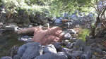 photo thumbnail #14