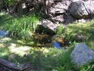 photo thumbnail #8